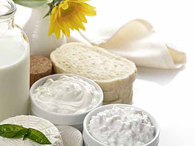 Dairy Industry